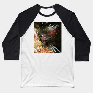 Caribbean Lion Fish Baseball T-Shirt